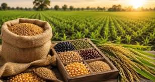 Seed stocks sufficient for Kharif, but timely delivery to farmers remains key: FSII